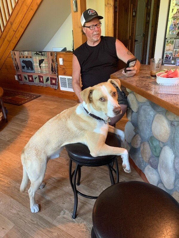 JJ Ryder a Straight Up Dude Dog - Photo 1