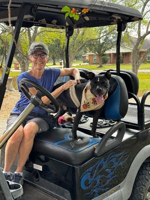 Baylor Banjo Morning Coffee Buddy thumbnail 3