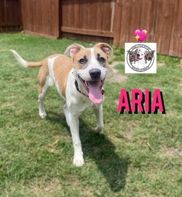 Aria The Girl With A Beautiful Smile thumbnail 15