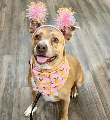 Leoni Roe Lover Girl thumbnail 1