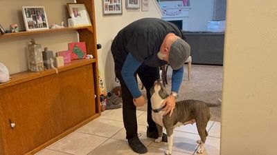 Holly The Best Family Dog thumbnail 7