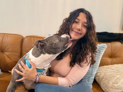 Holly The Best Family Dog thumbnail 10