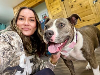 Holly The Best Family Dog thumbnail 6