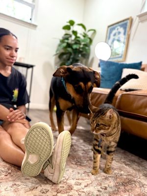 Jennie Jane Home Sweet Home thumbnail 7