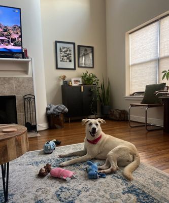 Rory right on time tv watching family girl thumbnail 12