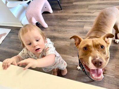 Blinky Baby loves the babies and belly rubs thumbnail 4