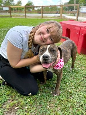 Ann Marie Wiggle Butt Cuddles thumbnail 2