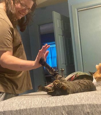 Orion Constellation thumbnail 3