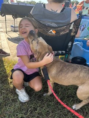 Rainie Baby the pocket sized Pittie lady loves to play with the littles! thumbnail 3