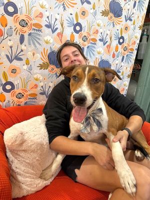 George the goodest boy thumbnail 7