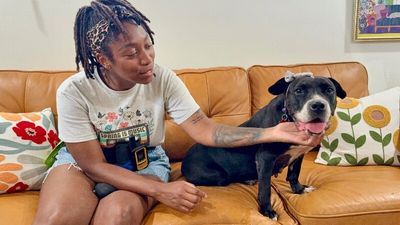 Chloe Francine the snack loving cuddle bug old lady! thumbnail 4