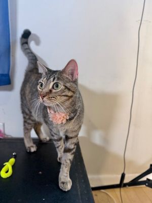 Megan The Sweet thumbnail 5