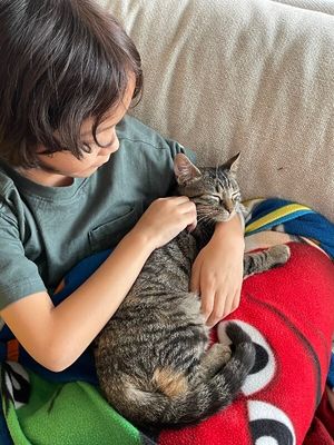 Dolly Purrton thumbnail 3