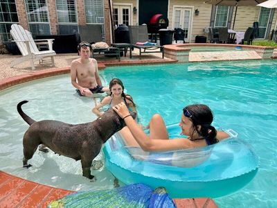 Thea Pretty Baby Loves Her Humans thumbnail 6