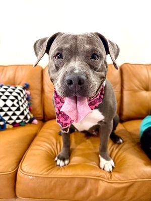 Thea Pretty Baby Loves Her Humans thumbnail 2