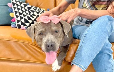 Thea Pretty Baby Loves Her Humans thumbnail 14