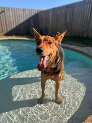 Becca Boo Loves Bigger than her EARS! thumbnail 3