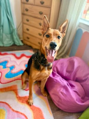 Becca Boo Loves Bigger than her EARS! thumbnail 15