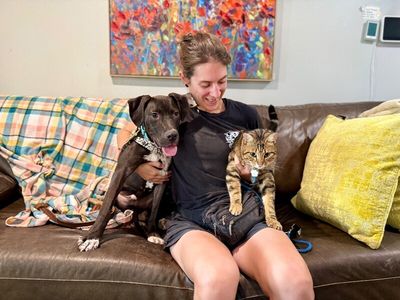Happy Hanky  Wiggles of Joy thumbnail 2