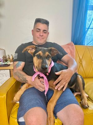 Maple Portillo thumbnail 3
