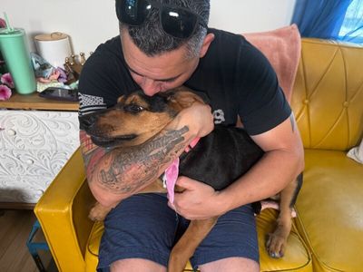 Maple Portillo thumbnail 9