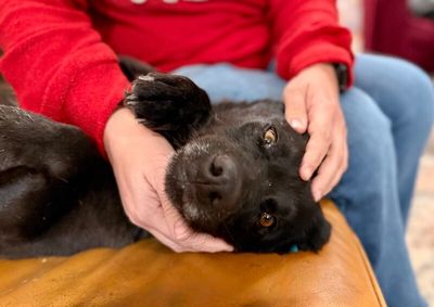 Stormy Belle is your Soul Dog thumbnail 9