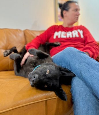 Stormy Belle is your Soul Dog thumbnail 10