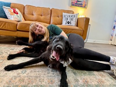 Jetty Boy the Couch Snuggler and Tiny Dog Lover thumbnail 5
