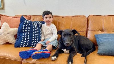 Harper tater tot cuddlepaws thumbnail 13