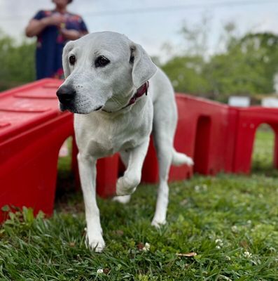 Paloma Jumps For Joy thumbnail 8