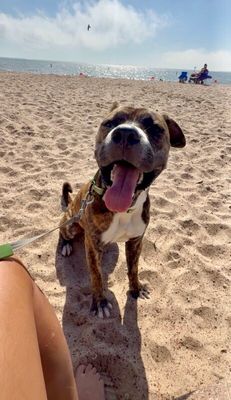 Lucky Boy Your Beach Loving Best Friend thumbnail 4