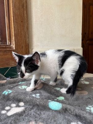 Oliver Bloom thumbnail 2
