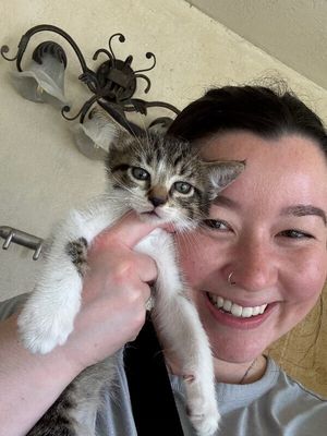 Pippin Bloom the Adventure Cat thumbnail 5