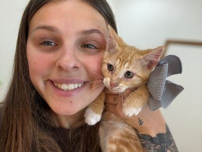 Sam Biscuit thumbnail 3