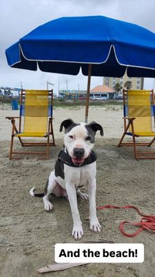 Georgie Smiles Best Smile Around Town thumbnail 5