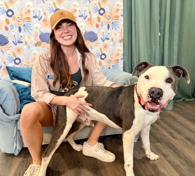 Georgie Smiles Best Smile Around Town thumbnail 13