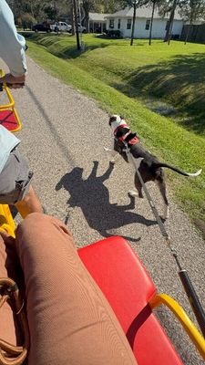 Georgie Smiles Best Smile Around Town thumbnail 10