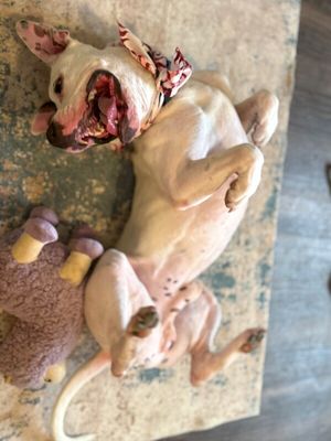 Wishbone Wonder Silly Sweetness thumbnail 4