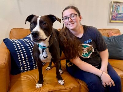 Molly the Itty Bitty Pittie thumbnail 6