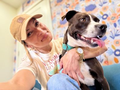 Molly the Itty Bitty Pittie thumbnail 10