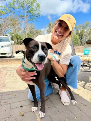 Molly the Itty Bitty Pittie thumbnail 5