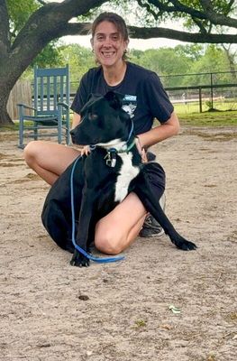Kissy Kismet The Kid Loving Pup thumbnail 9