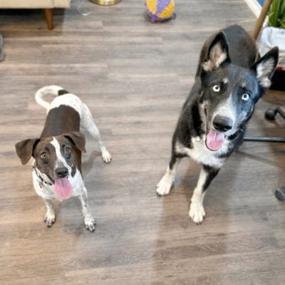 Skye Blue The Blue Eyed Beauty thumbnail 13