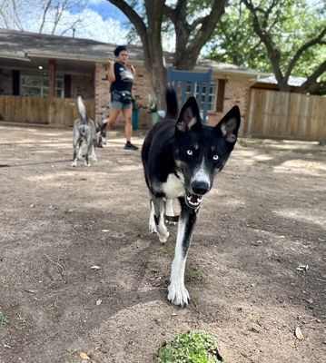 Skye Blue The Blue Eyed Beauty thumbnail 12
