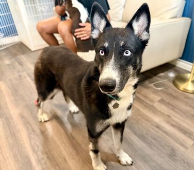 Skye Blue The Blue Eyed Beauty thumbnail 10