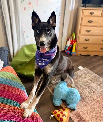 Skye Blue The Blue Eyed Beauty thumbnail 1