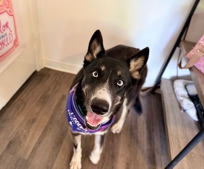 Skye Blue The Blue Eyed Beauty thumbnail 14