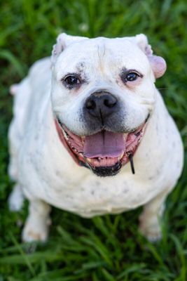 Delilah the sweetest old soul thumbnail 14