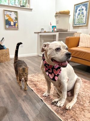 Delilah the sweetest old soul thumbnail 4