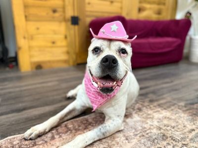 Delilah the sweetest old soul thumbnail 9